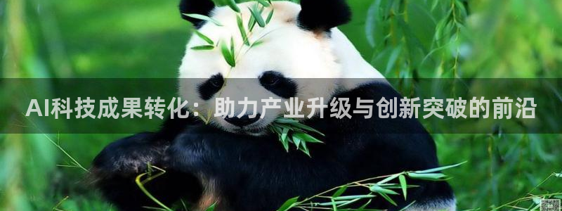 AI科技成果转化：助力产业升级与创新突破的前沿