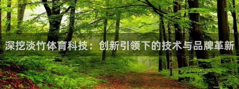 深挖淡竹体育科技：创新引领下的技术与品牌革新