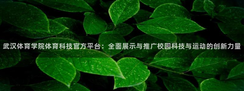 武汉体育学院体育科技官方平台：全面展示与推广校园科技与运动的创新力量
