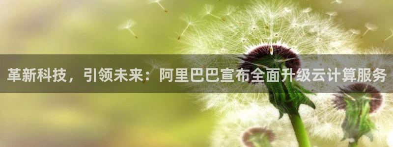 革新科技，引领未来：阿里巴巴宣布全面升级云计算服务