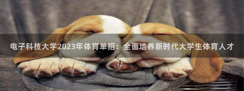 电子科技大学2023年体育单招：全面培养新时代大学生体育人才