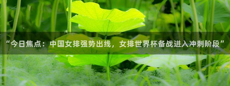 “今日焦点：中国女排强势出线，女排世界杯备战进入冲刺阶段”