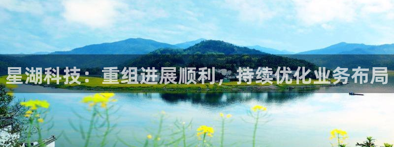 星湖科技：重组进展顺利，持续优化业务布局