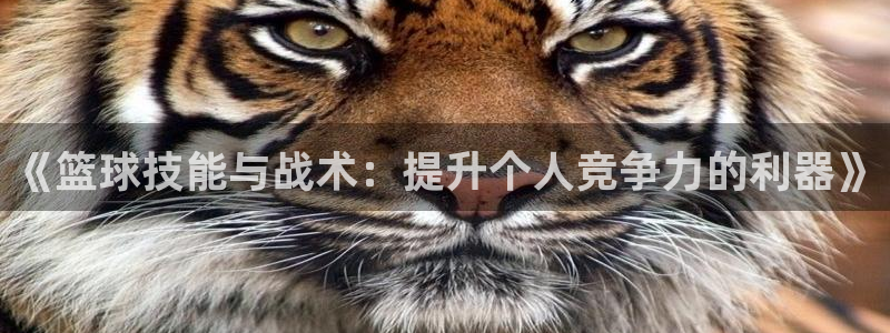 《篮球技能与战术：提升个人竞争力的利器》