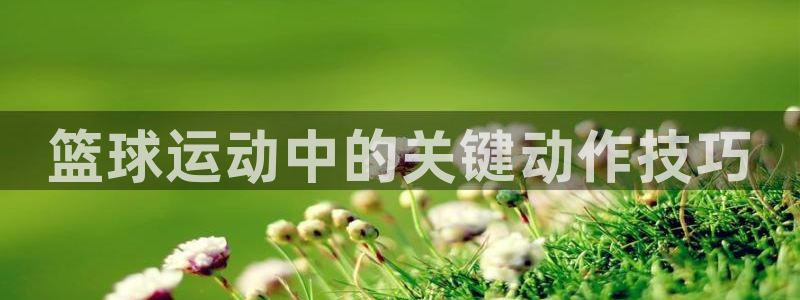 篮球运动中的关键动作技巧