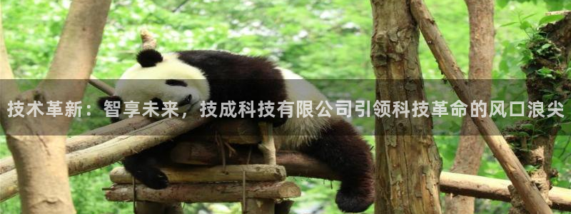技术革新：智享未来，技成科技有限公司引领科技革命的风口浪尖