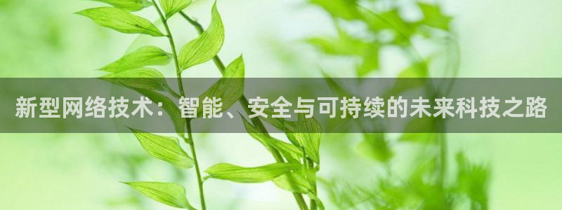新型网络技术：智能、安全与可持续的未来科技之路