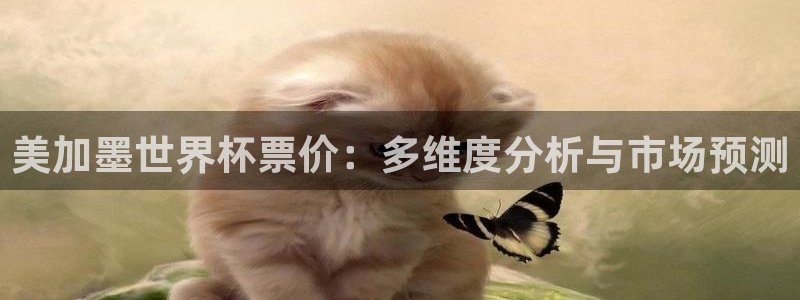 美加墨世界杯票价：多维度分析与市场预测