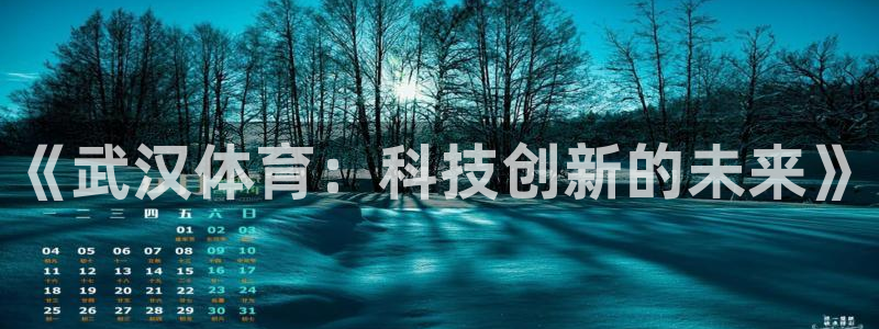 《武汉体育：科技创新的未来》