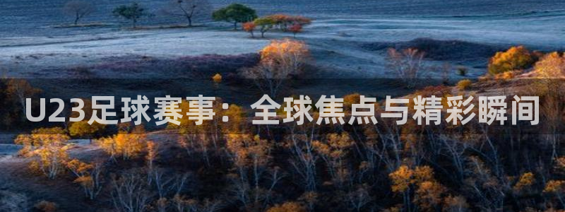 U23足球赛事：全球焦点与精彩瞬间