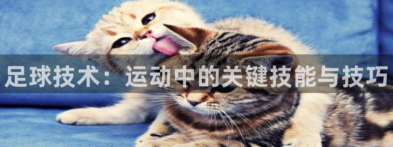 足球技术：运动中的关键技能与技巧