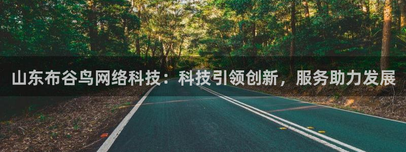 山东布谷鸟网络科技：科技引领创新，服务助力发展