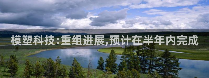 模塑科技:重组进展,预计在半年内完成