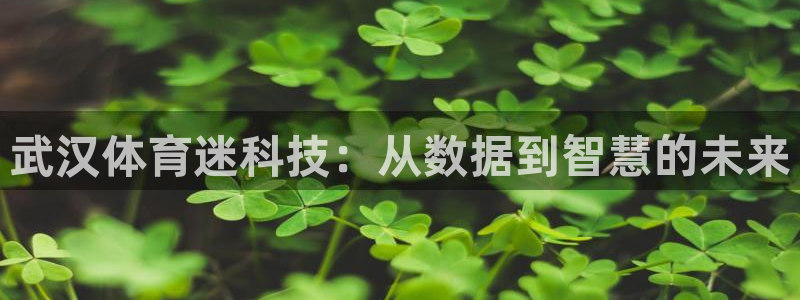 武汉体育迷科技：从数据到智慧的未来