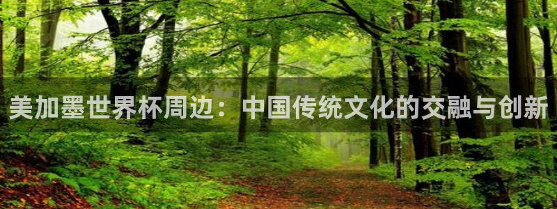美加墨世界杯周边：中国传统文化的交融与创新