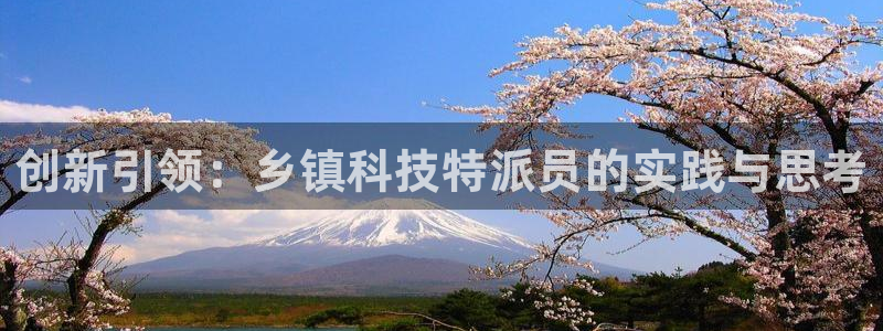 创新引领：乡镇科技特派员的实践与思考