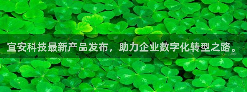 宜安科技最新产品发布，助力企业数字化转型之路。