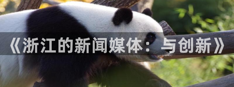 《浙江的新闻媒体：与创新》