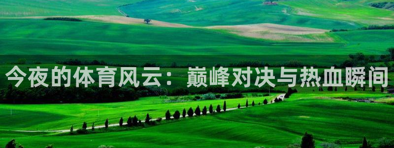 今夜的体育风云：巅峰对决与热血瞬间