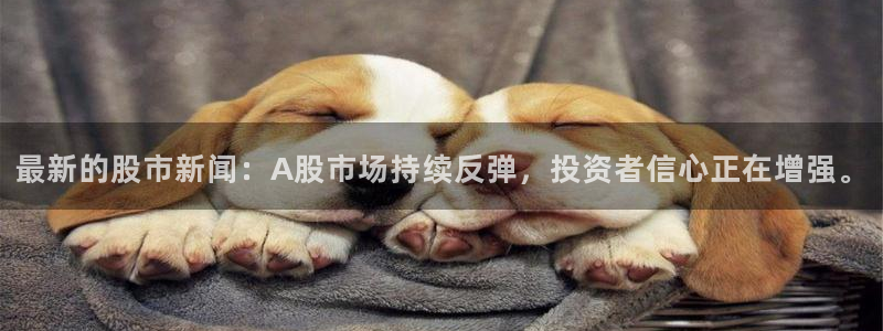 最新的股市新闻：A股市场持续反弹，投资者信心正在增强。