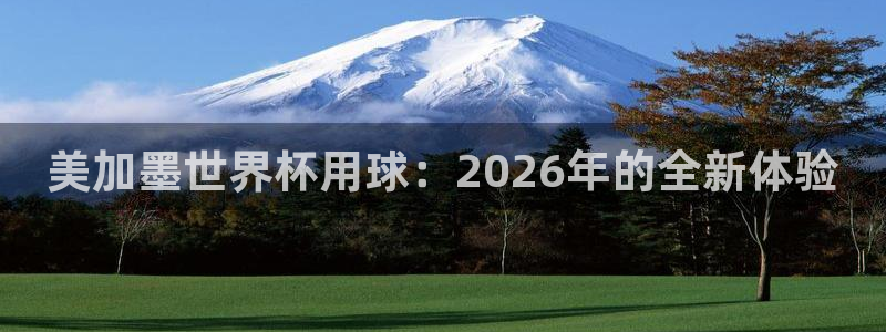 美加墨世界杯用球：2026年的全新体验