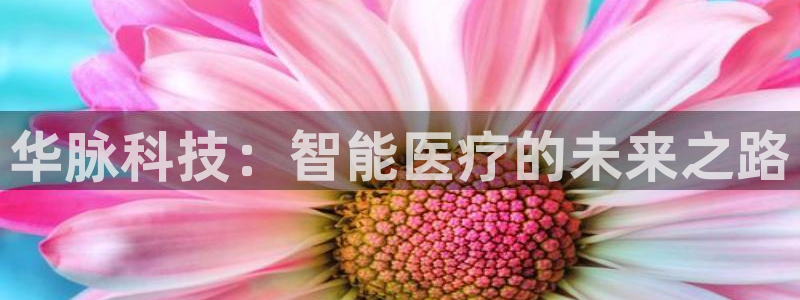 华脉科技：智能医疗的未来之路