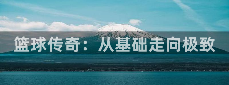 篮球传奇：从基础走向极致