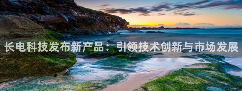 长电科技发布新产品：引领技术创新与市场发展