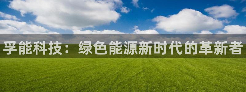 孚能科技：绿色能源新时代的革新者