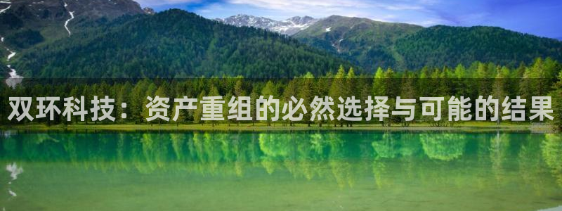 双环科技：资产重组的必然选择与可能的结果