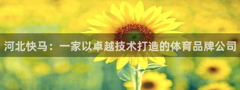 河北快马：一家以卓越技术打造的体育品牌公司