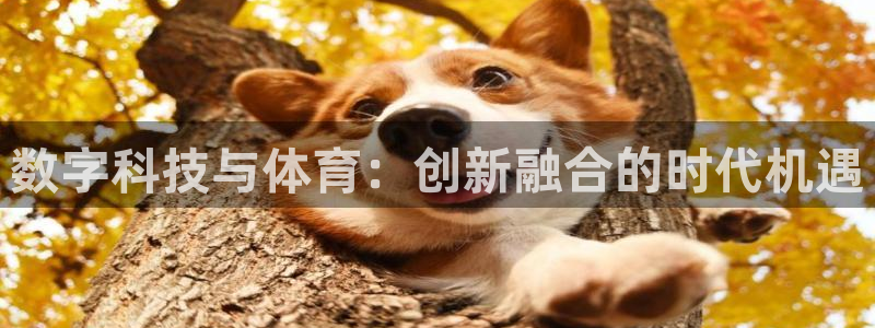 数字科技与体育：创新融合的时代机遇