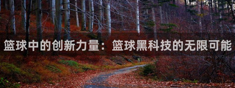 篮球中的创新力量：篮球黑科技的无限可能