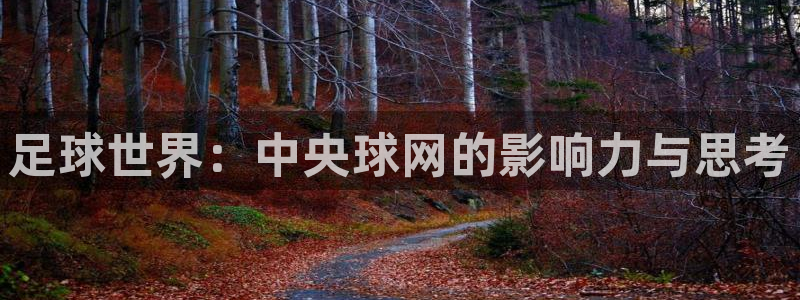 足球世界：中央球网的影响力与思考