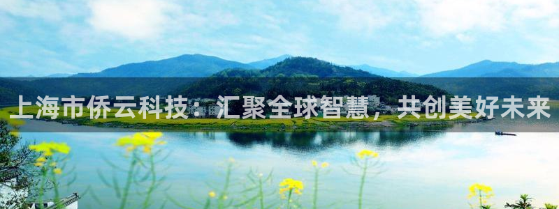上海市侨云科技：汇聚全球智慧，共创美好未来