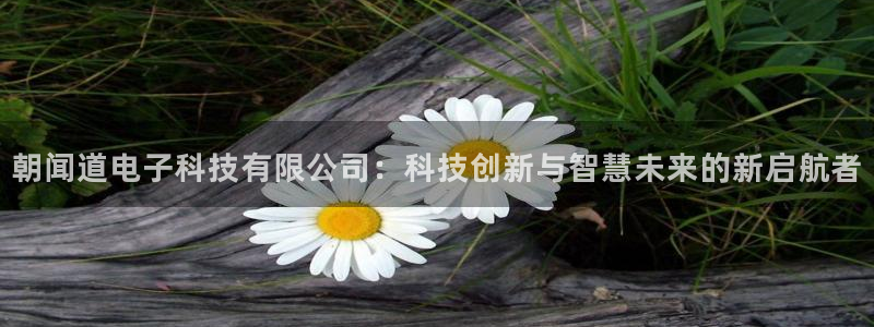 朝闻道电子科技有限公司：科技创新与智慧未来的新启航者